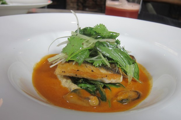 loup de mer, curried mussels