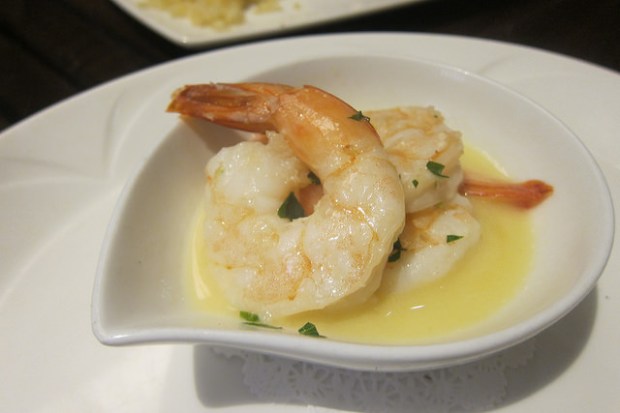 scampi