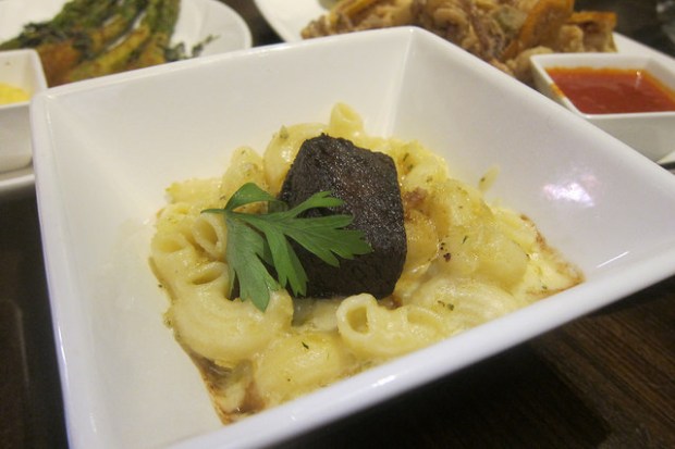 short ribs mac and cheese