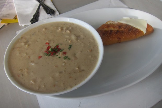 clam chowder