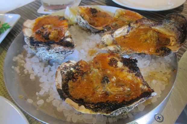 wood-fired oysters
