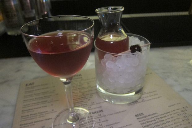 Bartender's Special- BBS came with a pal