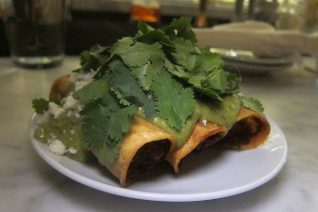 spicy potato taquitos