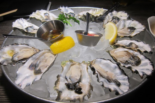 oysters
