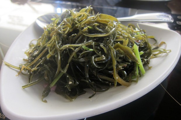 seaweed salad