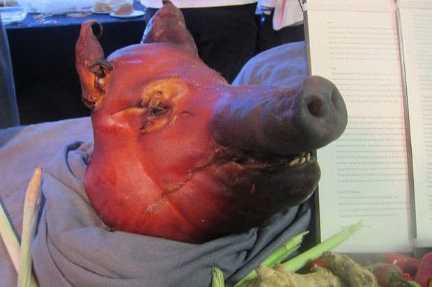 pig's head from Wolfgang Puck Catering