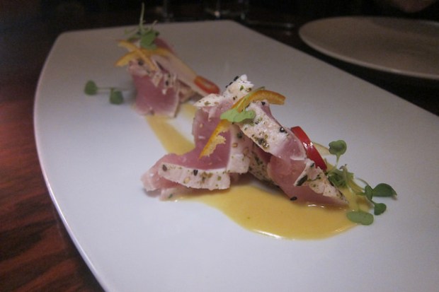 wild albacore