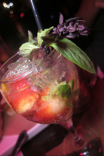 Modern Gin and Tonic