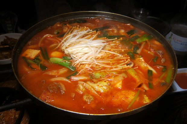 beef and octopus stew