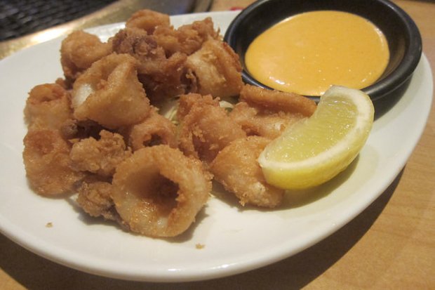 calamari