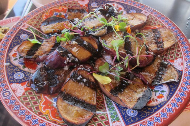 grilled eggplant