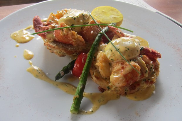 lobster benedict