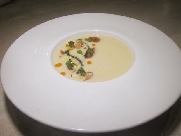 sweet corn veloute