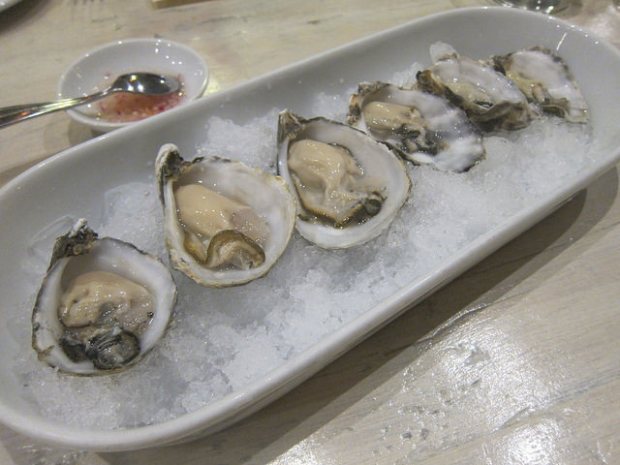 oysters