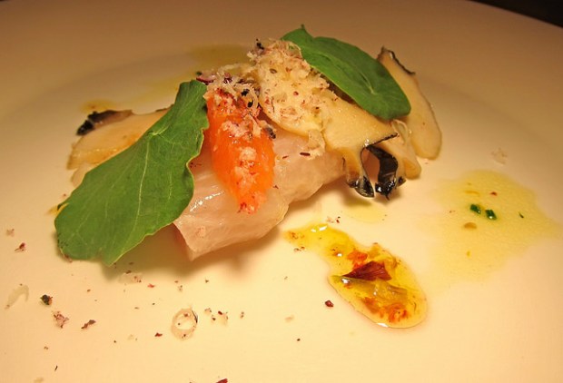 Hawaiian kanpachi crudo