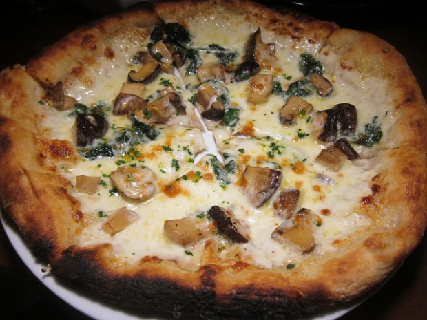 wild funghi conserva