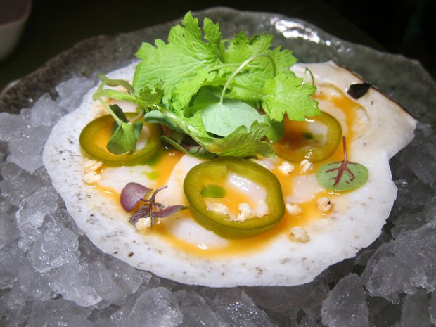 diver scallop ceviche