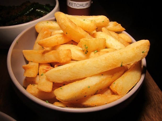 fries